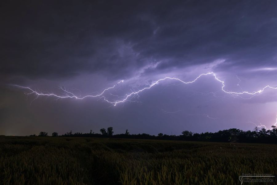 Anvil crawler boven het korenveld